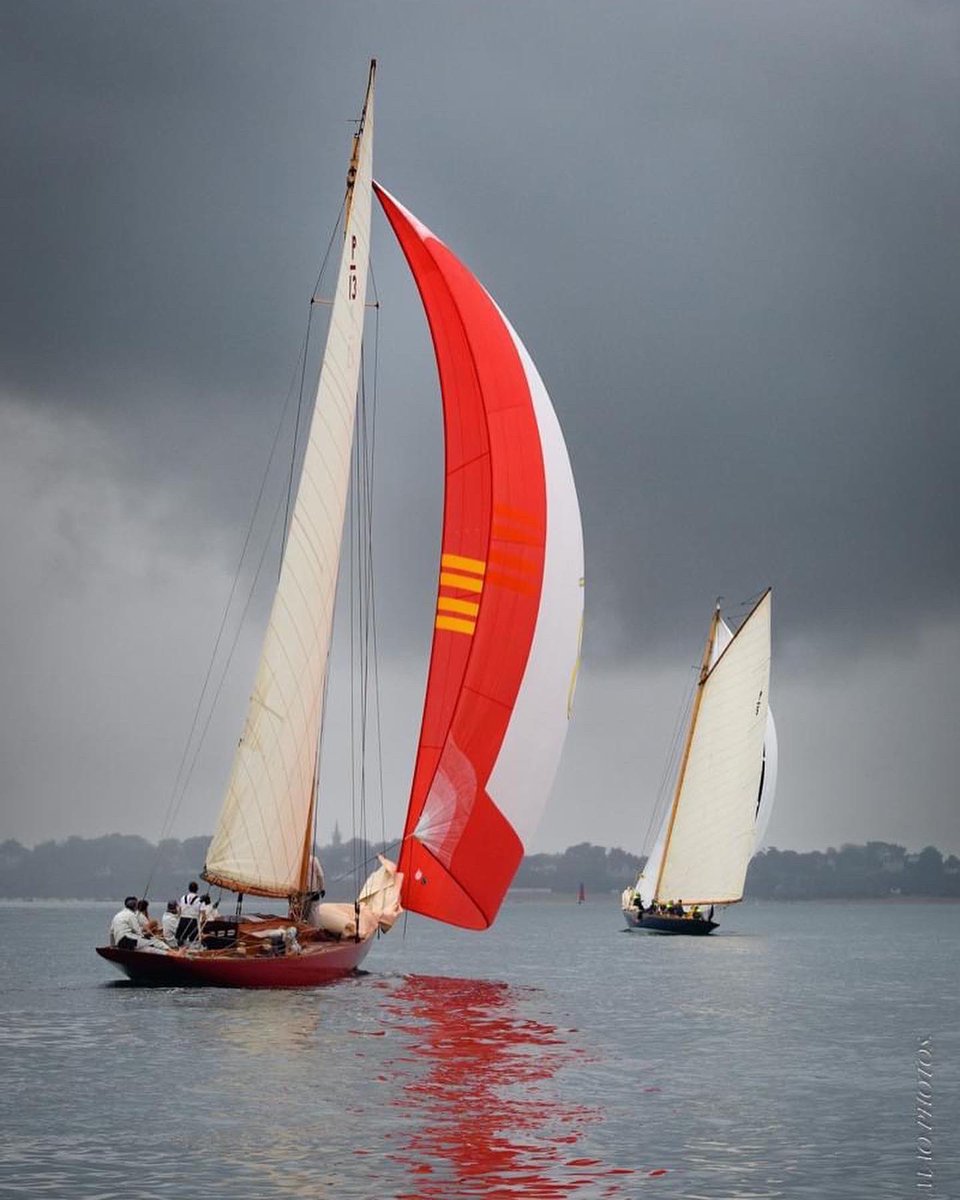 MAO Laurence-Photos tweet media