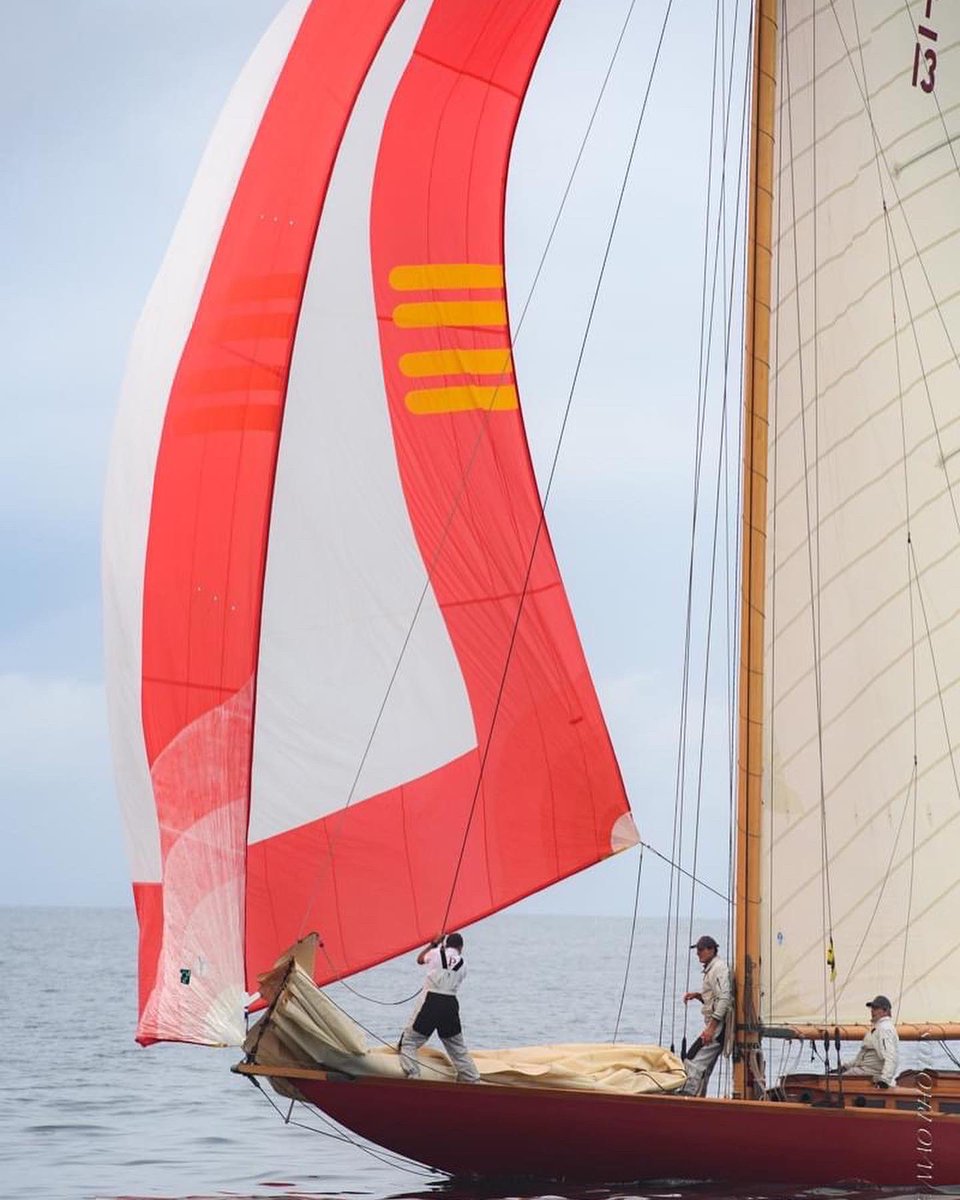 MAO Laurence-Photos tweet media