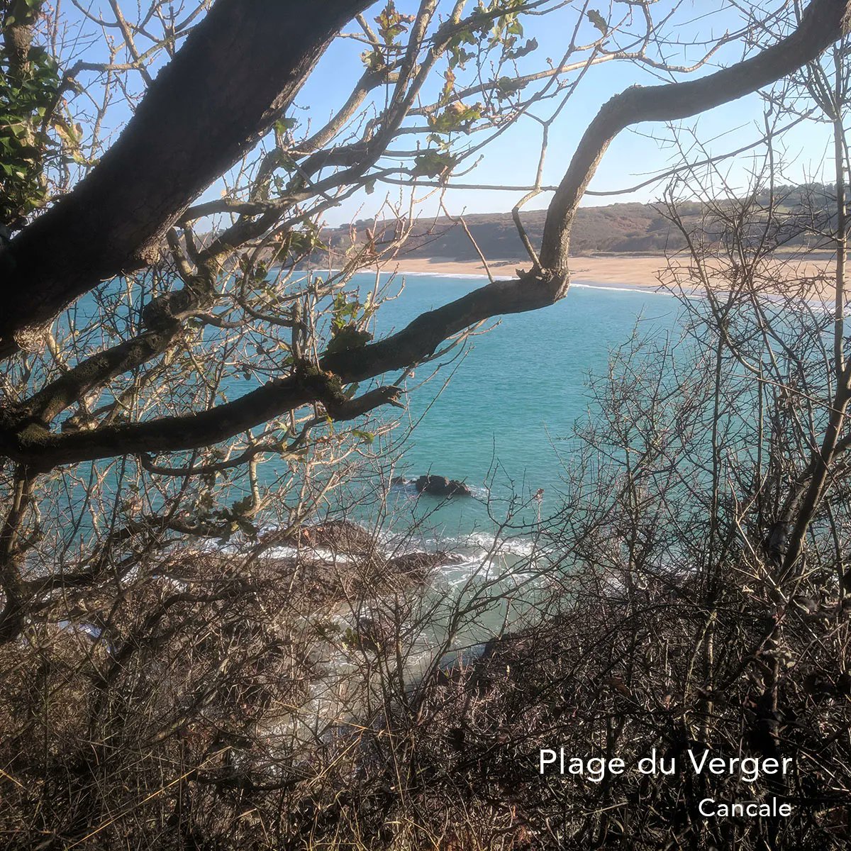 kornog_dev's tweet photo. Pour cette huitième étape de notre tour de Bretagne, nous quittons Séné vers le Nord-Est 🗺 ↗️ direction Cancale et la plage du Verger.

#bretagne #cancale #tourdebretagne https://t.co/RXkQsZe8mZ