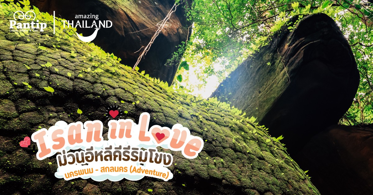 Pantip1996's tweet photo. 💪 มาผจญภัยไปกับทริปม่วนๆ ใน จ. #นครพนม - #สกลนคร กัน! เดินป่าเส้นทางเปิดใหม่ #ภูผาด่าง 🌳 พิชิต #ถ้ำนาคี สุด Unseen 🐲 ดินเนอร์กลางแม่น้ำโขงกับ "ล่องเรือสำราญแม่โขงพาราไดซ์ครูซ ⛴ จบทริปด้วยความฟินอย่างแน่นอน 💚
https://t.co/07BXGKKNdM
#ISANinLOVE
#TATPANTIP
#AmazingThailand https://t.co/jkm9myDR7p