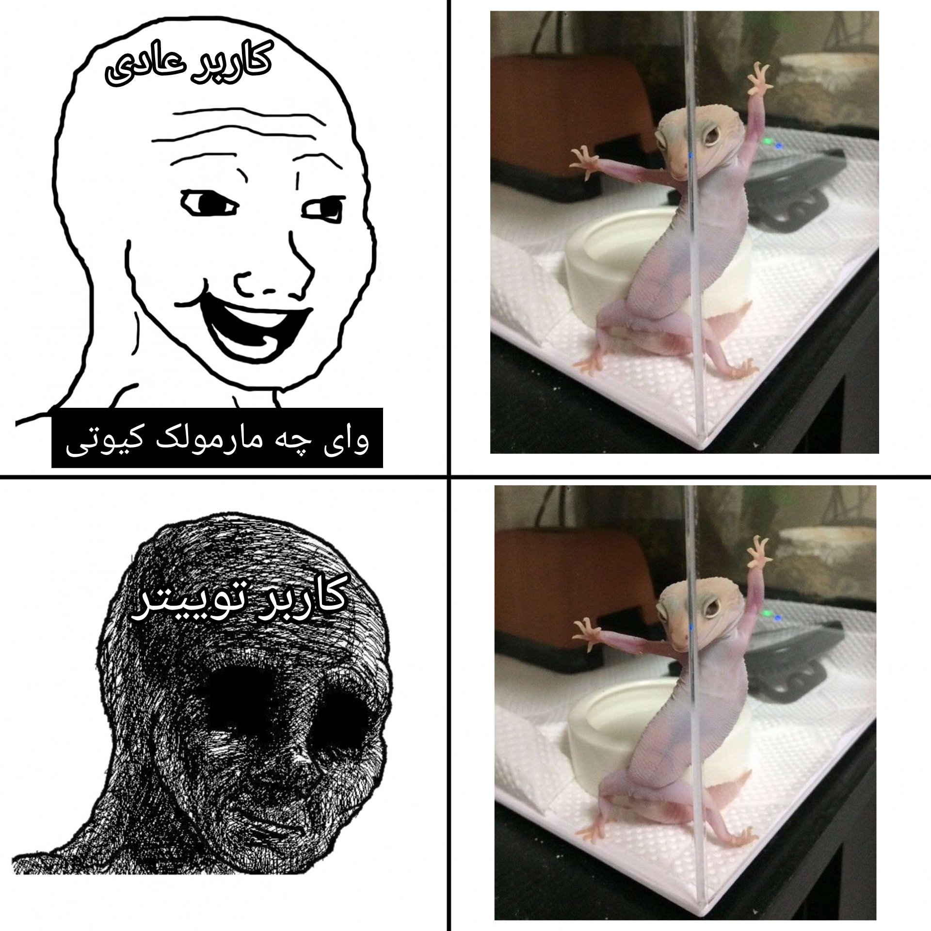 ودکاسرکوبگر on Twitter: