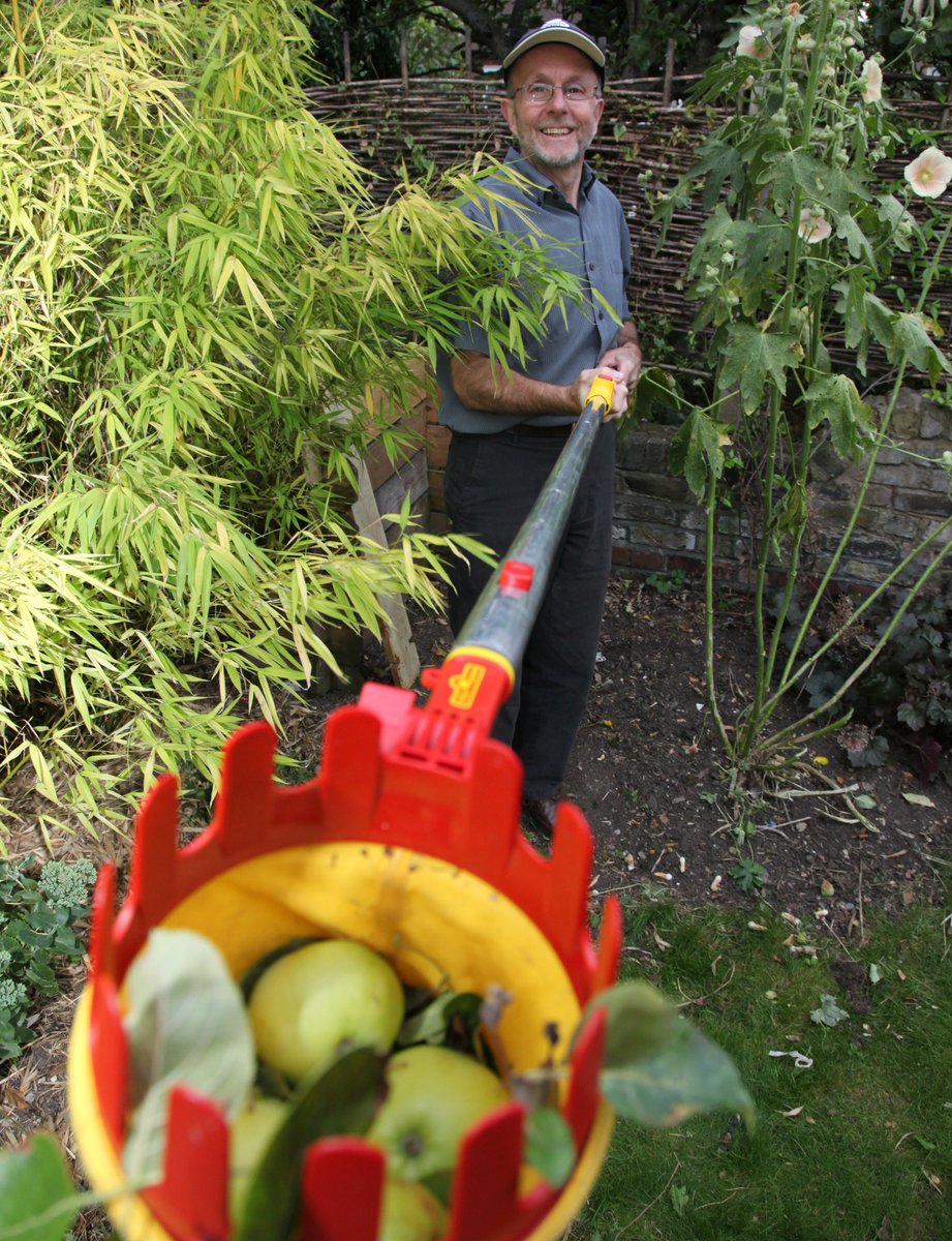 Got a fruit tree but apples or pears too high? Borrow our telescopic 4m tool free from Kensal Rise Library in Bathurst Gardens or the library on Salusbury Road. #endwaste <a href="/KensalRLibrary/">Friends of KRLibrary</a> <a href="/NW10KTRA/">Kensal Triangle RA</a> <a href="/KGMutualAid/">KensalCovidSupport</a> <a href="/KensalRiseRA/">Kensal Rise RA</a> <a href="/Qparkres/">QPARA</a> <a href="/CoLQueensPark/">Queen's Park Official</a> <a href="/QPBooks/">Queen's Park Books</a> <a href="/KensalQueensPk/">kensalqueenspark</a>