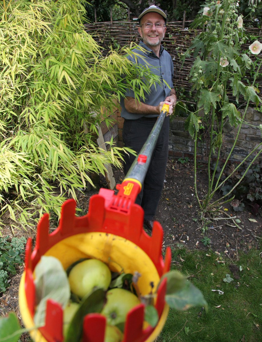 Got a fruit tree but apples or pears too high? Borrow our telescopic 4m tool free from Kensal Rise Library in Bathurst Gardens or the library on Salusbury Road. #endwaste @KensalRLibrary @NW10KTRA @KGMutualAid @KensalRiseRA @Qparkres @CoLQueensPark @QPBooks @KensalQueensPk