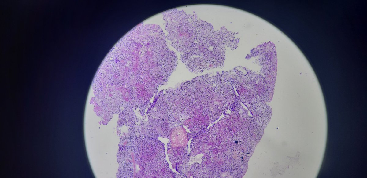 PathDiff tweet picture