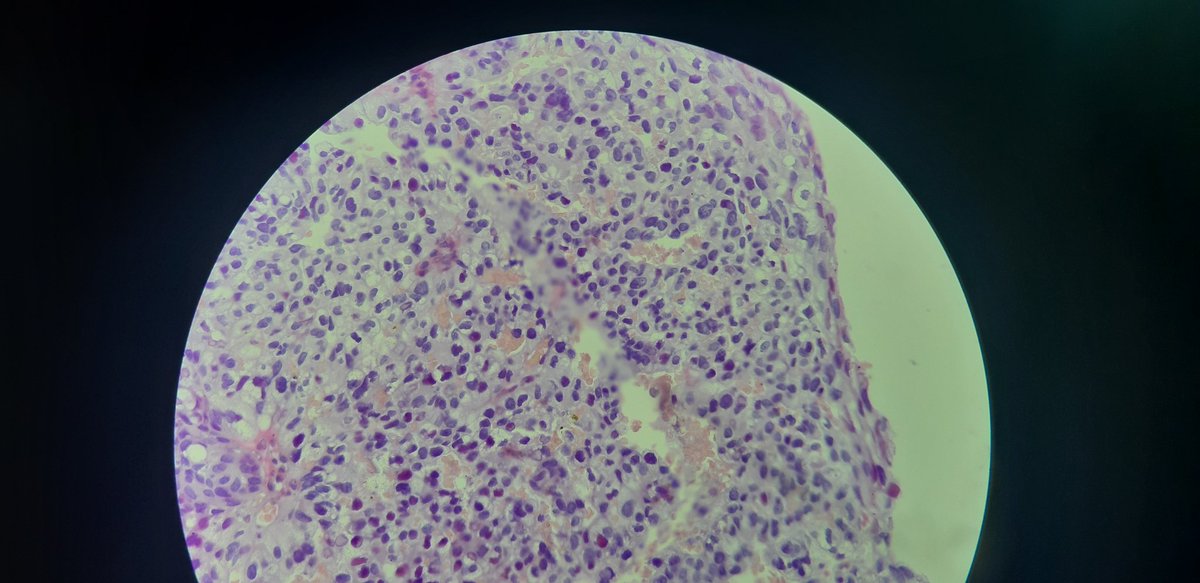 PathDiff tweet picture