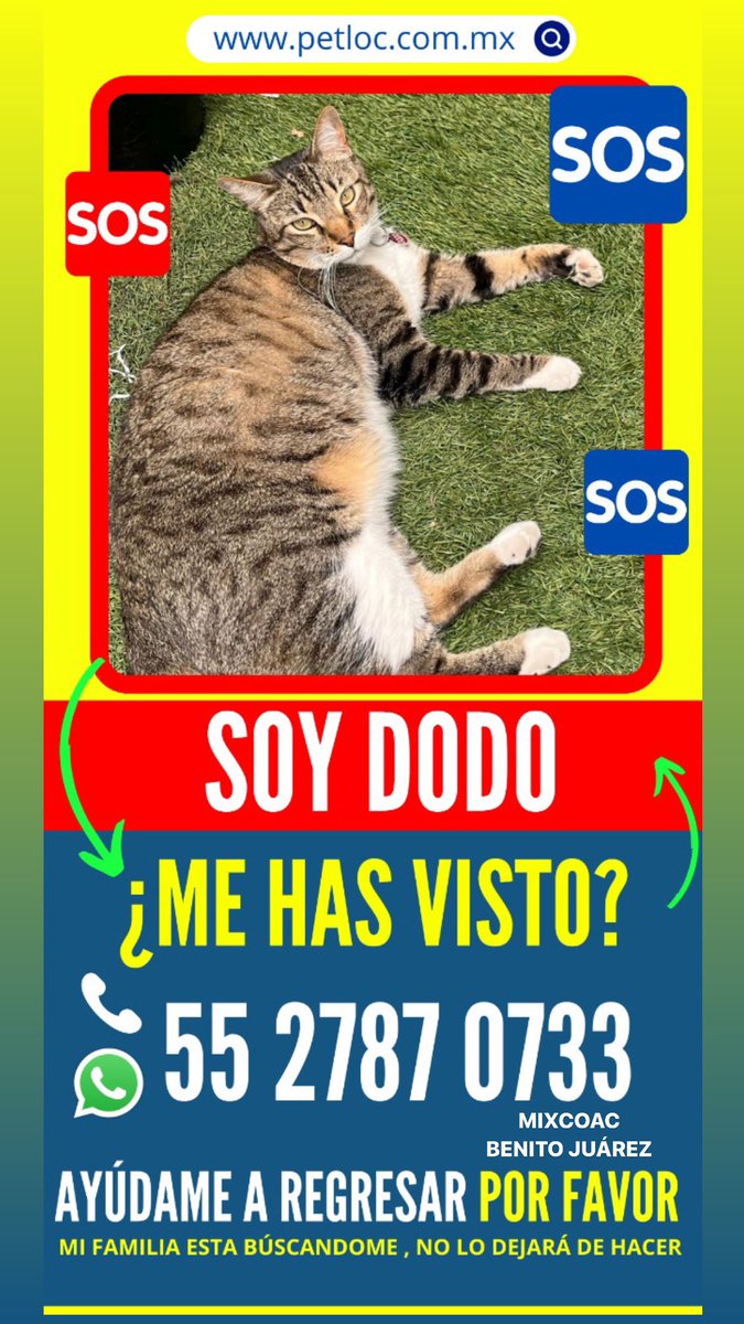 blanquisisima's tweet photo. @Animales_CDMX https://t.co/bcVTYMxUKj