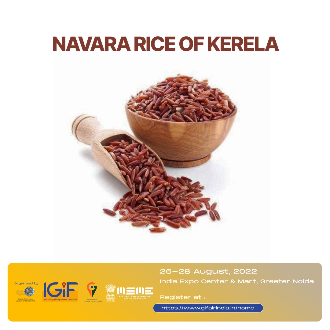 mygovindia's tweet photo. Did you know❓
Rice gruel made of Navara is beneficial in preventing various diseases &amp; is also considered a safe food for diabetics.

Find more interesting facts about GI products at the India GI Fair from 26-28 August.
Visit: https://t.co/TFA9iEq7Nj
@minmsme @GoI_MeitY @DoC_GoI https://t.co/PQwoC9h9Vq