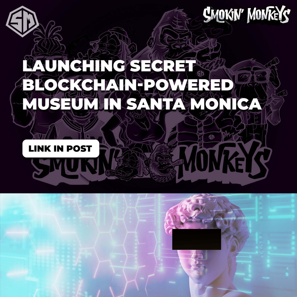 SMOKIN’ MONKEYS tweet media