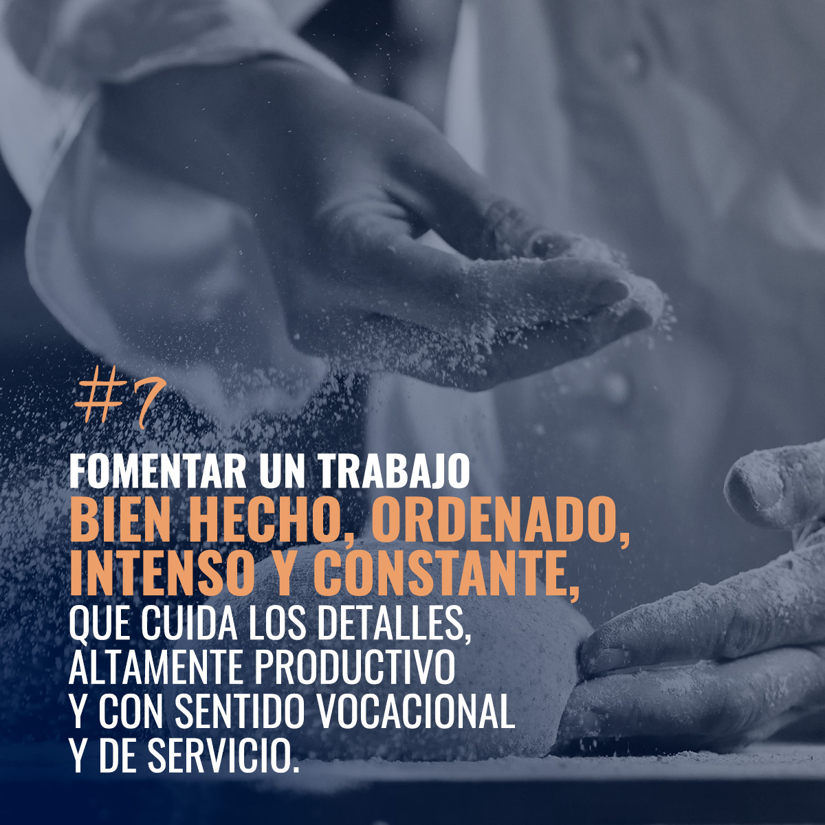 Instituto IECO tweet media