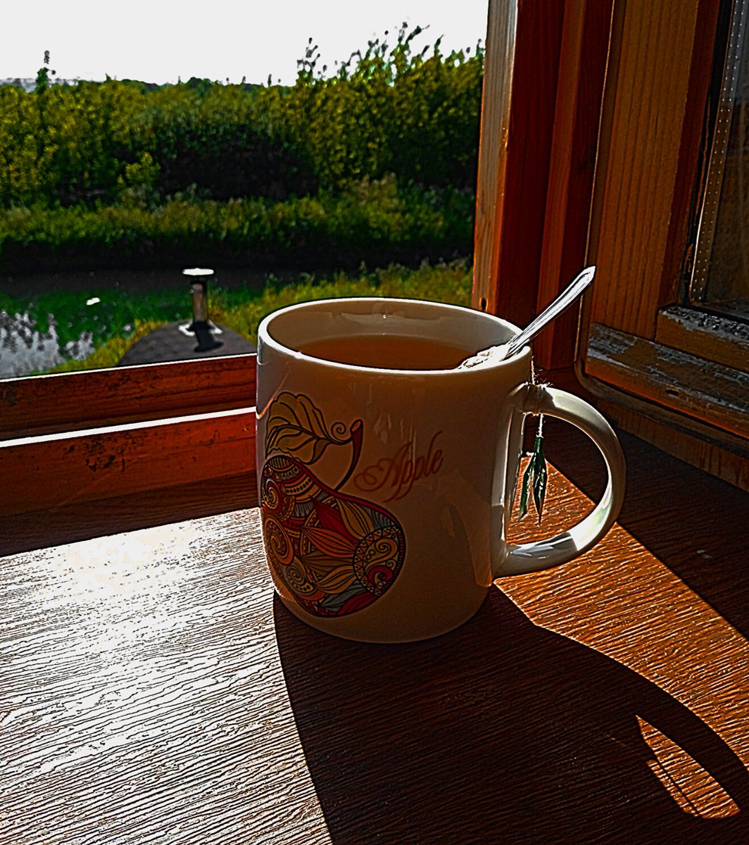 Sanfra666's tweet photo. #AndysAppleFarm @m36games
#tea #coffee #Cup #goodmorning #greentea #Apple #applepattern 

the morning does not start with coffee, but with a mug of green tea, with an apple pattern on it ~
I think Andy would really like this mug. ♥︎ https://t.co/w7YoJjqe60