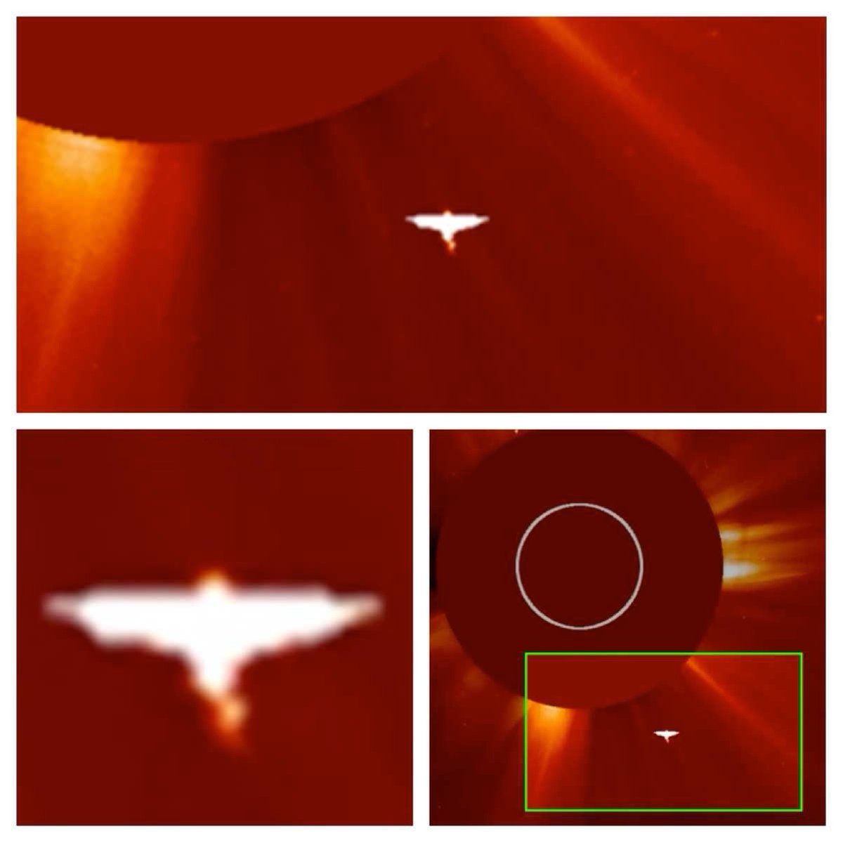 The Galactic Federation (Official Updates) tweet media