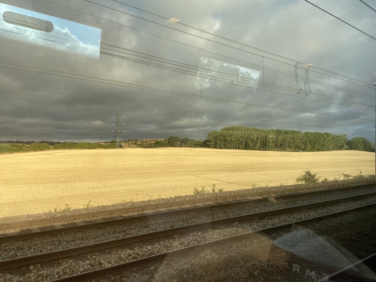 TraceyDagley's tweet photo. Dramatic skies, Fields of gold & lineside banks of new ballast #viewfromtrain #EMR 1C14 https://t.co/TQfP2ppSCv