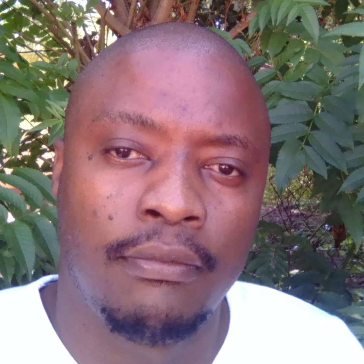 ditso's tweet image. #NewProfilePic