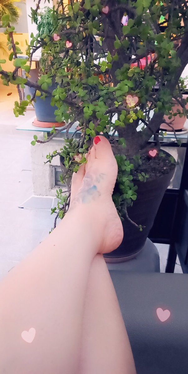 XBaruqui's tweet photo. Relaxxx 💆🏼‍♀️
#gorditosybonitos #feetfinder #feetpicsforsales #piesdemujer  #piesmexico #pies #patas #feetfethish #feetworship #feetlove #goodmorning #goodnight #HappyWednesday #FelizMartesATodos #FelizMiercoles #BuenasNoches https://t.co/H6cKNAuN1P