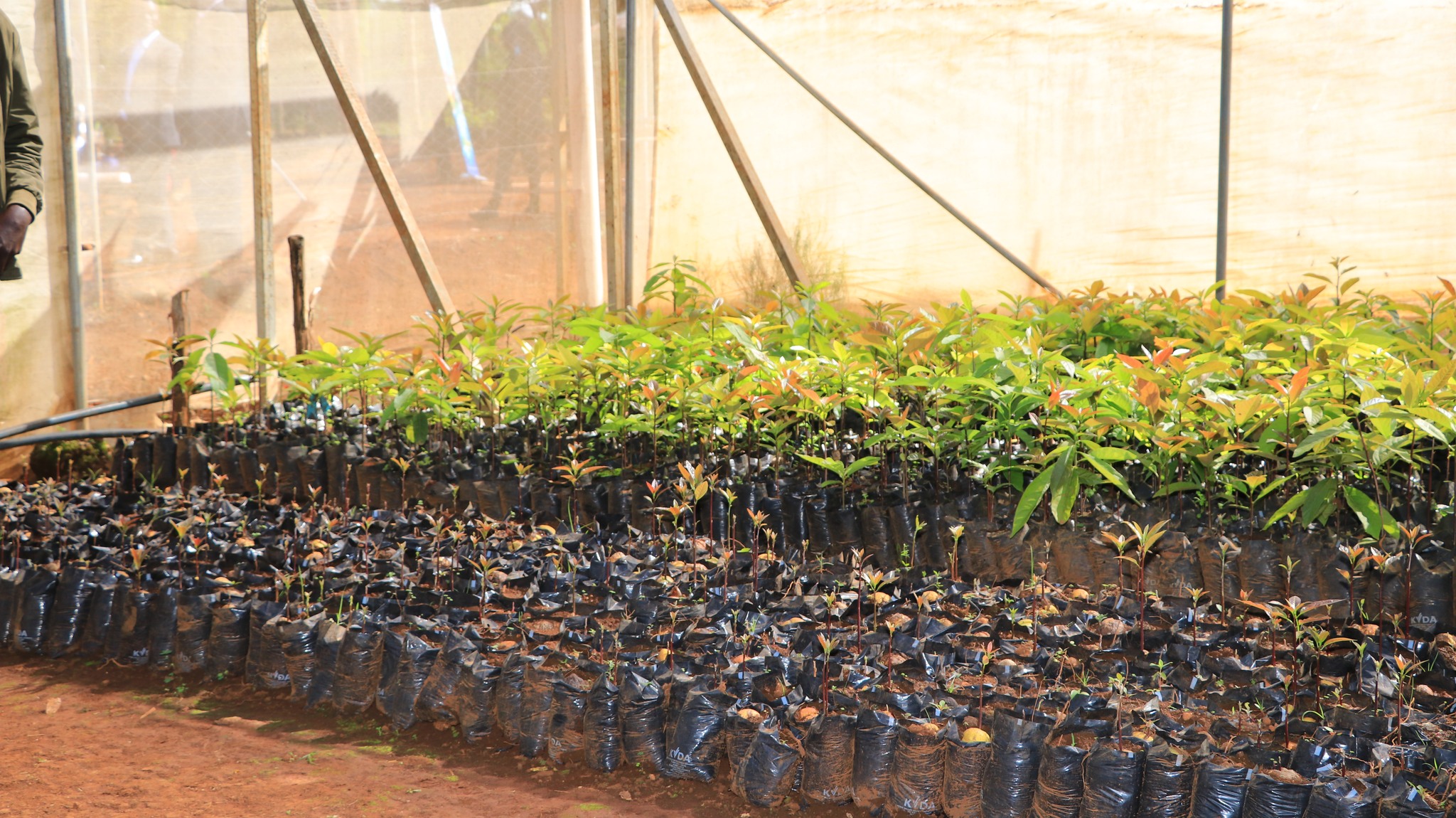 NETFUND on Twitter "Activities supported include; establishment of