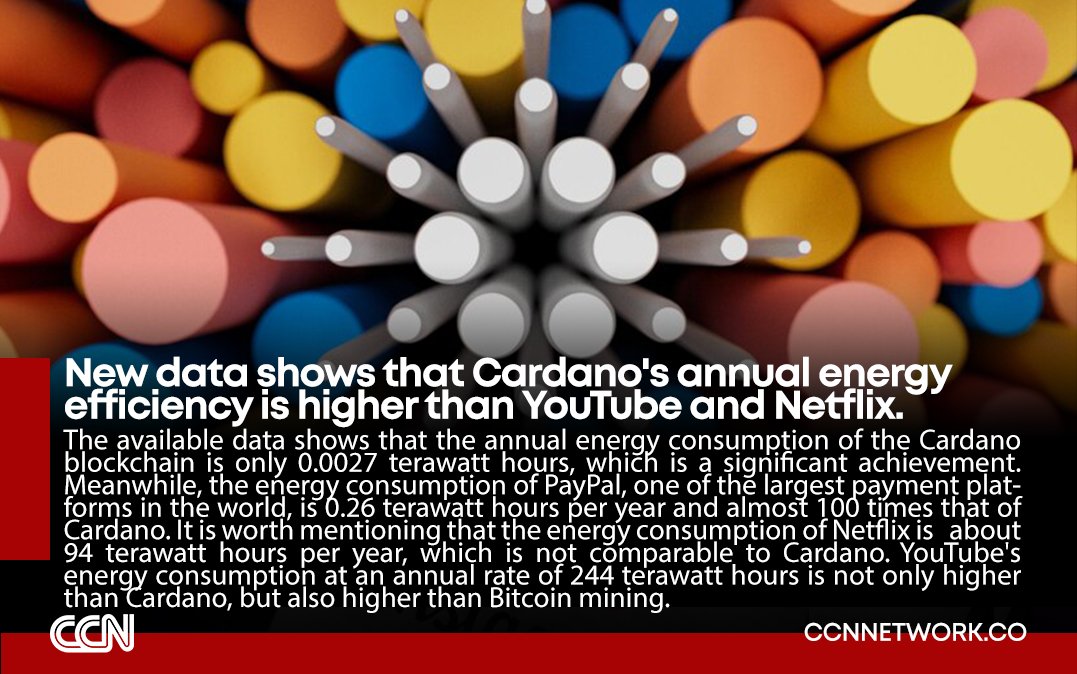 CCN.network (@ccnnet) on Twitter photo 