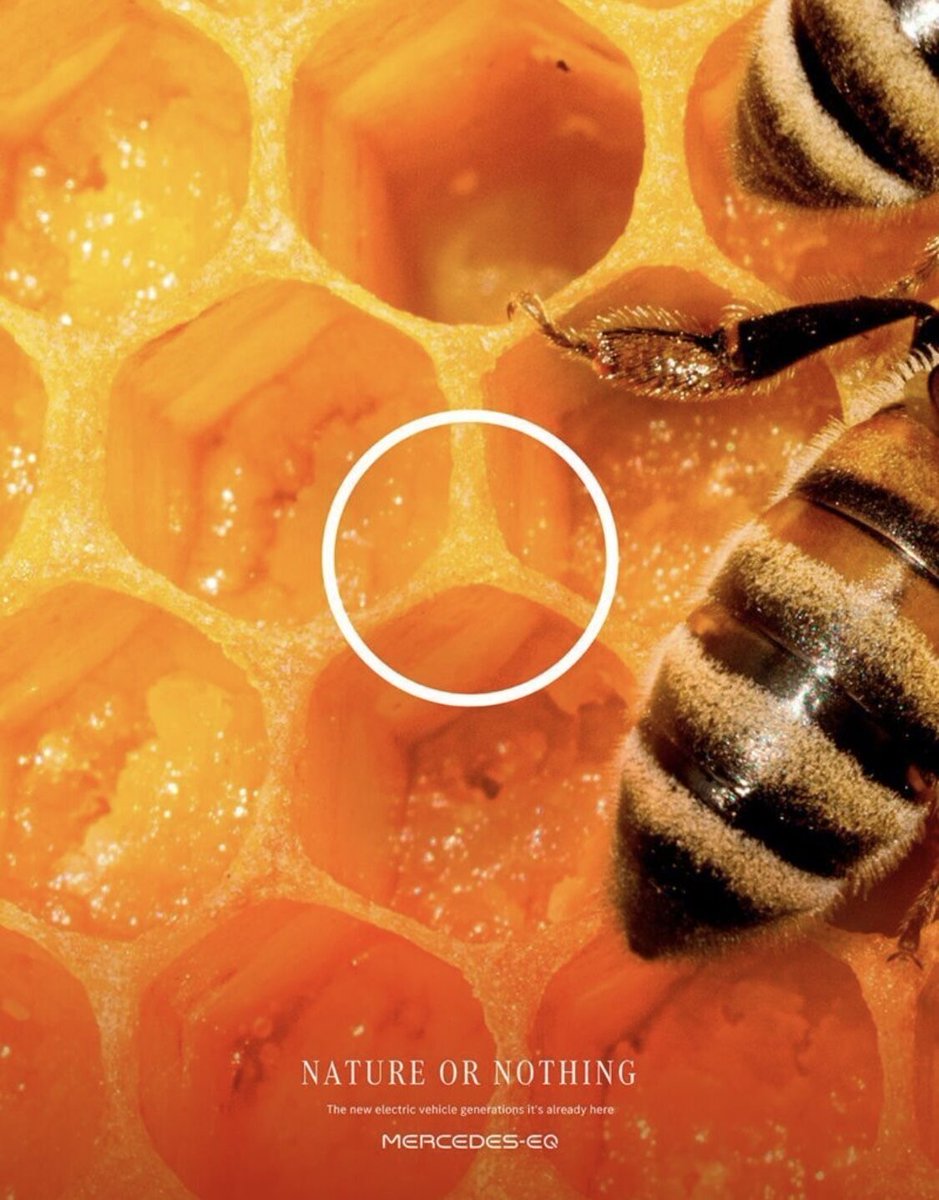 blessingkgapola's tweet photo. Clever campaign by Mercedes-Benz to highlight the environmental benefits of their electric car range 🌱 https://t.co/V8s7Uczr0F