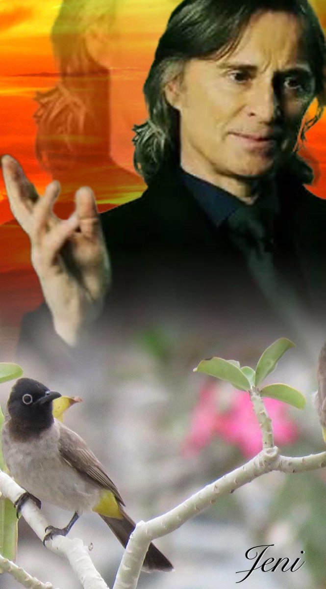 Jeni ⚡️ tweet media