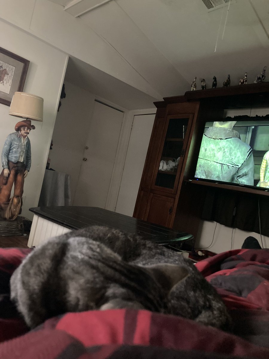 mudbonethetabby's tweet photo. 🐾When you have a KitKat that likes to sleep in bed with you 🐾 #sleepycat #tabbycat #lazykitkat #catlife #catlover https://t.co/HREhF2Zjyl