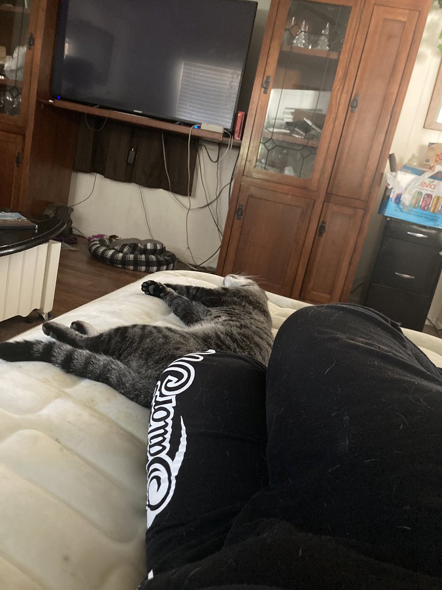mudbonethetabby's tweet photo. 🐾When you have a KitKat that likes to sleep in bed with you 🐾 #sleepycat #tabbycat #lazykitkat #catlife #catlover https://t.co/HREhF2Zjyl