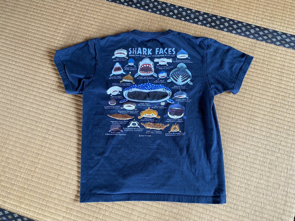 okikurashoten's tweet photo. @vimytaro
友永たろさんファンなので
サメ顔🦈Tシャツも愛用しております💦
#sharkface #海の生き物
#サメ #pom897 https://t.co/Oxe5EVviHZ