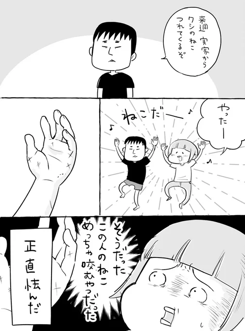 ねこ襲来① 