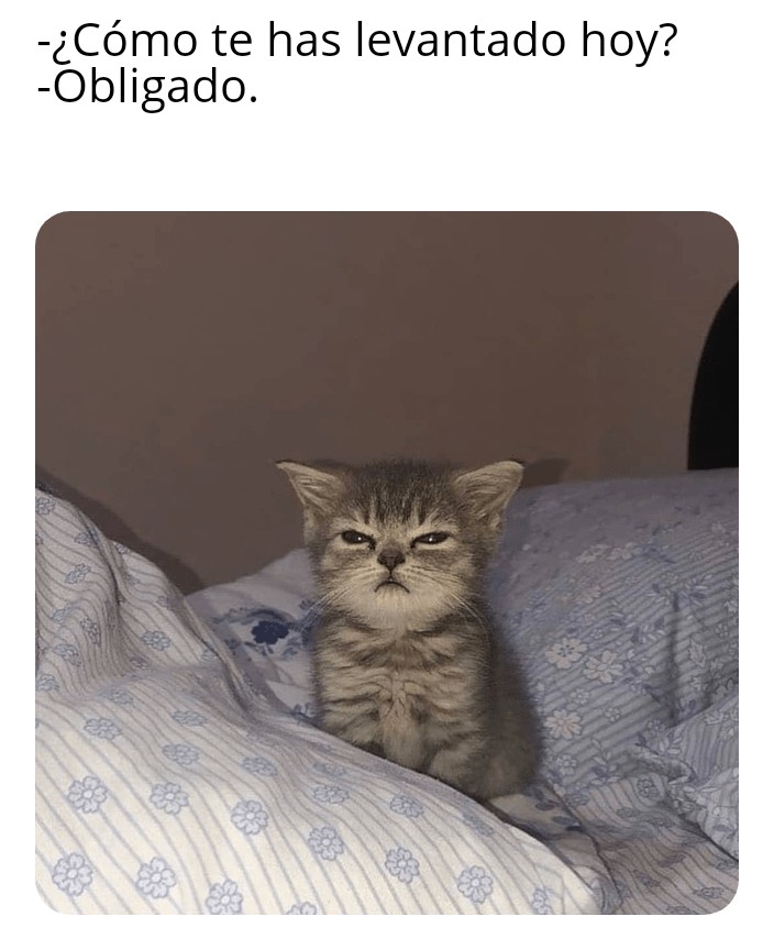 Obrigado. Que diga, obligado.