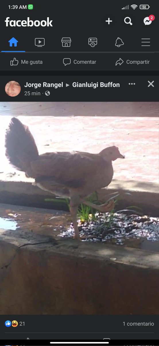 #facebookhacked <a href="/facebook/">Facebook</a> JAJAJJAJAJA