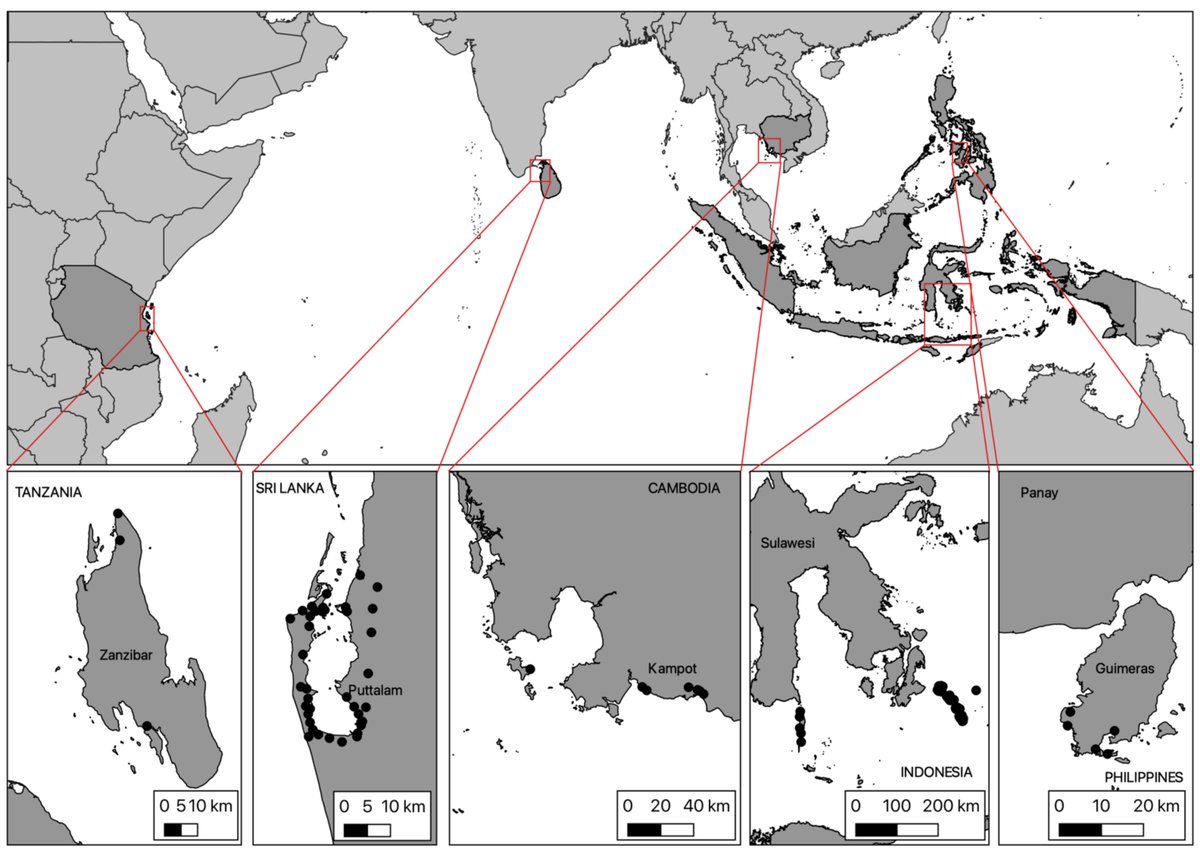 1327 interviews over 150 villages in 5 countries 

The biggest social-ecological assessment of seagrass meadows ever undertaken, showing their value to coastal communities across the Indo-Pacific region and the threats these systems face

Epic team effort

mdpi.com/2673-1924/3/3/…
