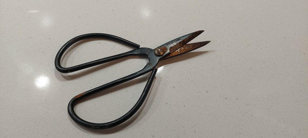 Steve Thompson tweet media