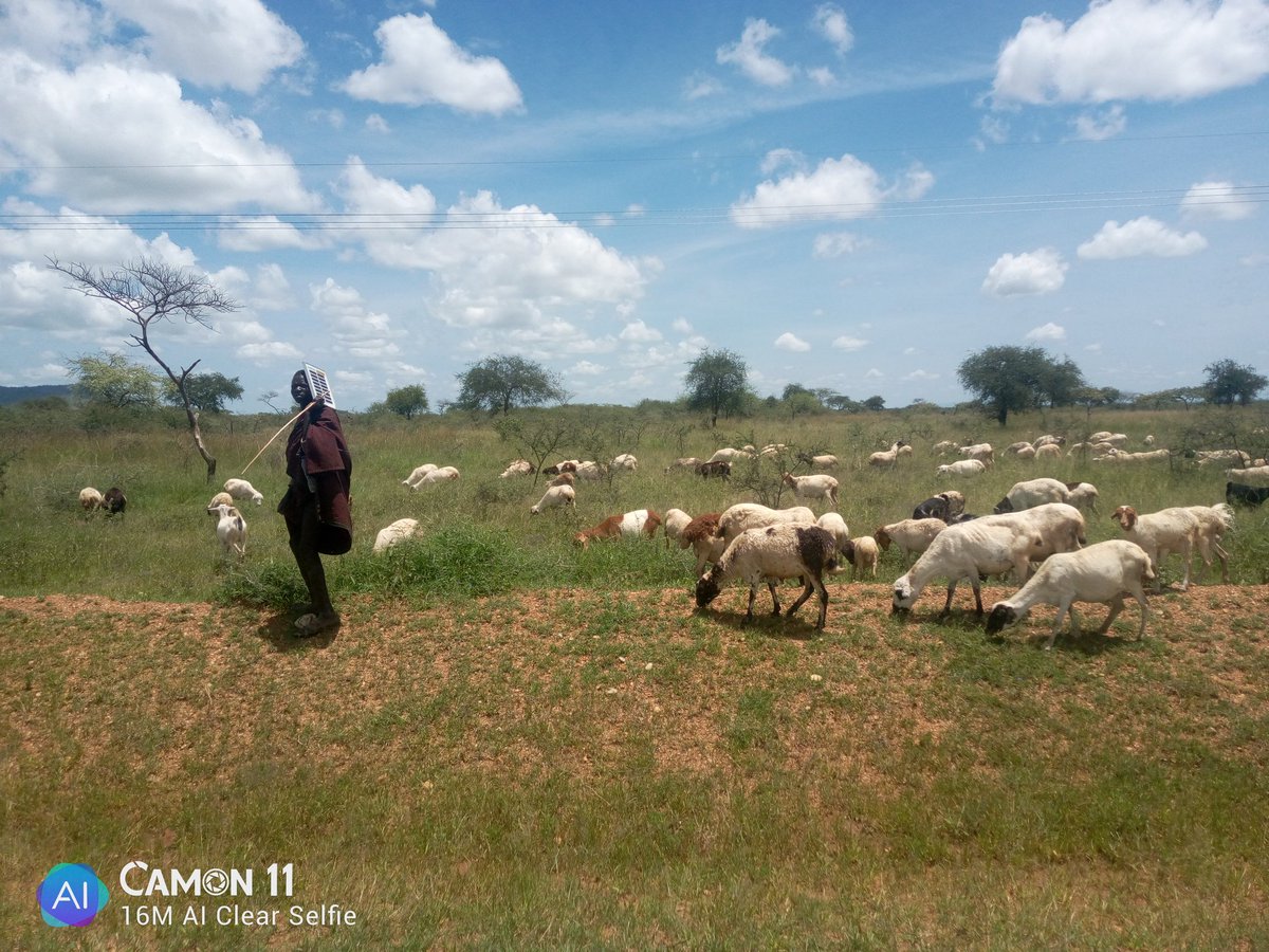 RRightsAfrica's tweet photo. With funding support from @EUinUG @H3000EastAfrica @ADCinUganda @dkaaustria we are in #Kotido district 2 train Area Land Committees from #Panyangara,#Rengen,#Kacheri,#Maru,#Kapeta,#Kacheri T.C,and #Lokitelaebu  T.C.
@nkgladys @Enabel_Belgium @ministry_lands @landnetug https://t.co/eFtidjG3sL