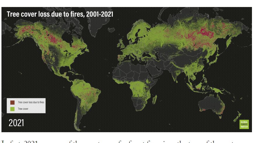 benj_leveque's tweet photo. 9 m ha de forêts partis en fumée en 2021, on voit bien sur cette carte du @WorldResources que ce n'est pas juste notre petit hexagone mais qu'il y a un énorme sujet dans les zones boréales. data ici : https://t.co/wgn16YGJuG https://t.co/eq65TIcjbS