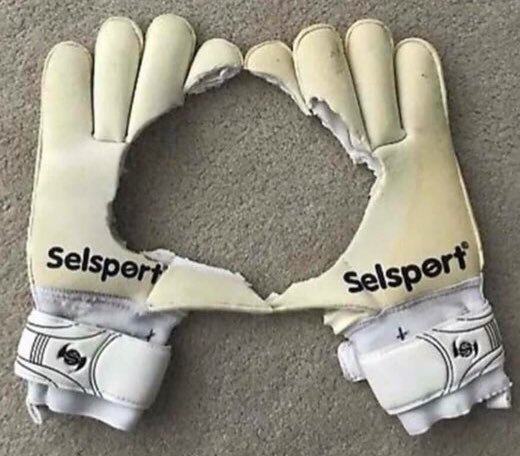 SPORTbible tweet media