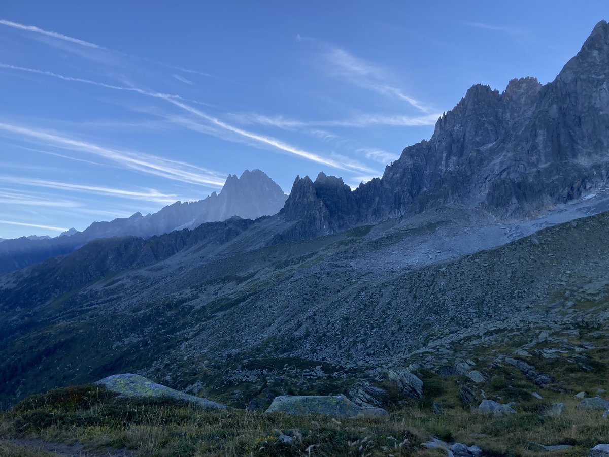 Jasmin Paris tweet media