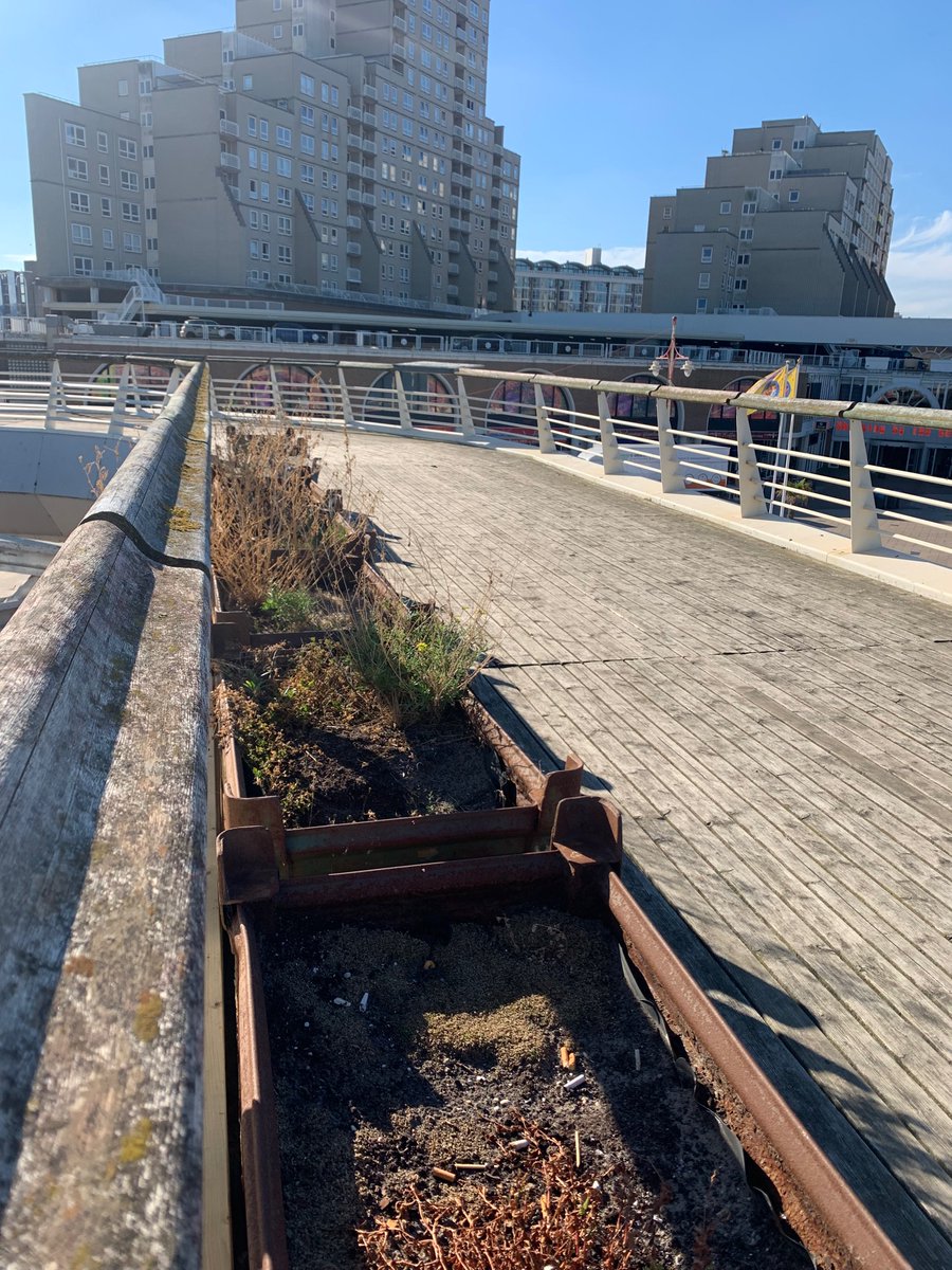 xbiancap's tweet photo. En Scheveningen vraagt zich af waarom het zo rustig is..alleen het strand en de zee is misschien niet genoeg meer..? Ik mis het groen, veel groen (geen kunst) in straten en op de boulevard..en al die troosteloze gebouwen..een facelift kan veel doen! #Scheveningen #tegelwippen https://t.co/lzIzghM3Ll