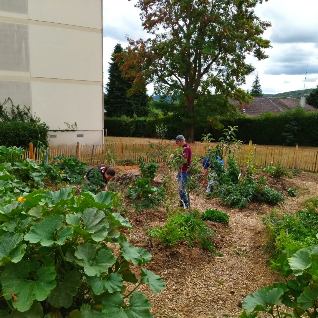 Un très bel atelier au potager ce mardi après midi à #Malaunay dans le quartier Brossolette <a href="/LogeoSeine/">Logeo Seine</a> 
Avec la remise du cahier de suivi du potager aux référents ; la création de sachets de graines avec les enfants ; le semi de navets et radis noirs ; ...