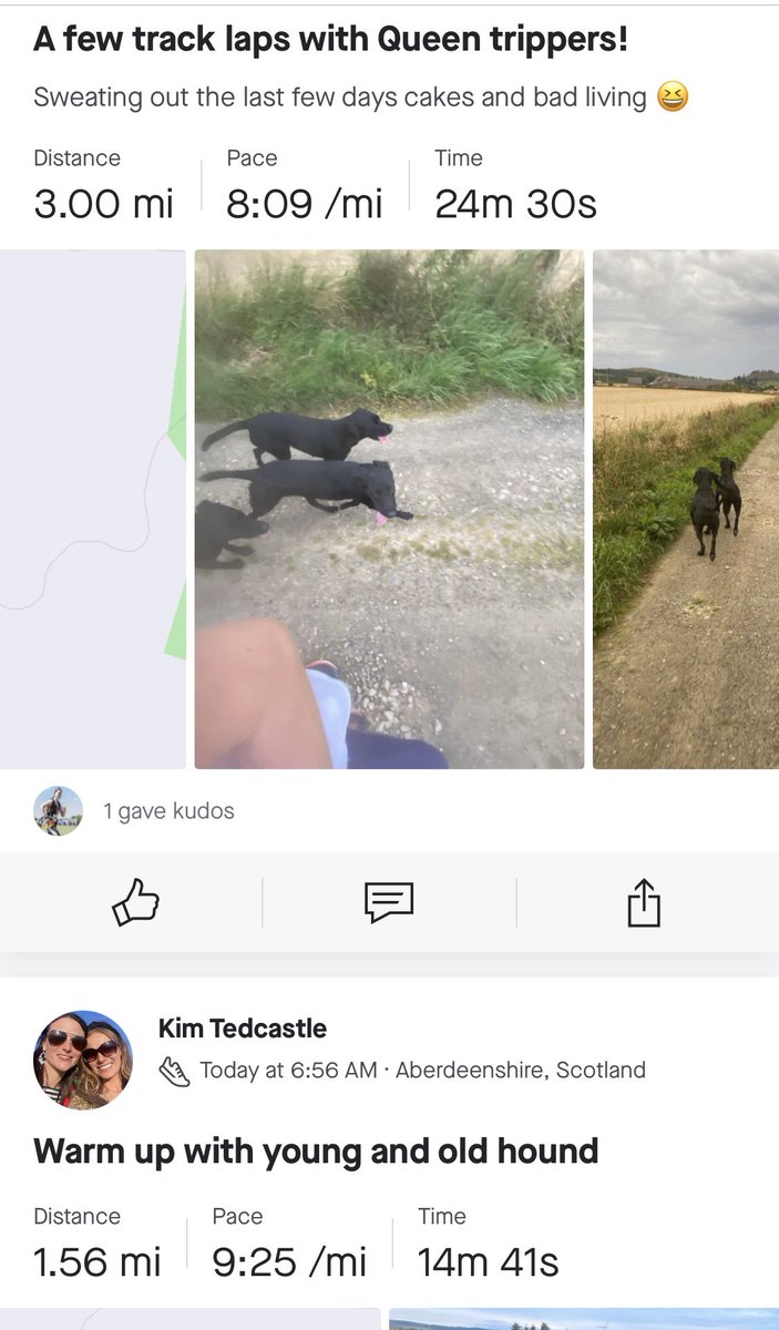 KimTedcastle's tweet image. 5 miles inc warm up and cool down with the dog squad before the rain started and school run 🏃🏼‍♀️🐾 
#MorningExercise #FitDogs #FitnessMotivation #Running #GreatNorthRun #UkRunChat @UKRunChat @Great_Run