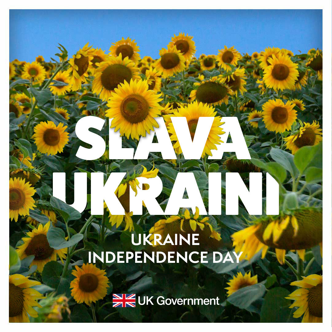 A background of sunflowers with the words: Slava Ukraini, Ukraine Independence Day
