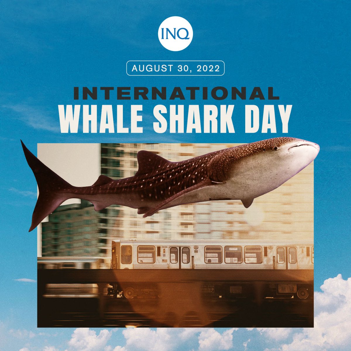 inquirerdotnet's tweet photo. TODAY, WE CAN TALK ABOUT WHALES! 🐳

This International Whale Shark Day, we can celebrate and increase awareness of the role of these gentle giants in maintaining the health of marine ecosystems. https://t.co/M5BOHdtwdJ