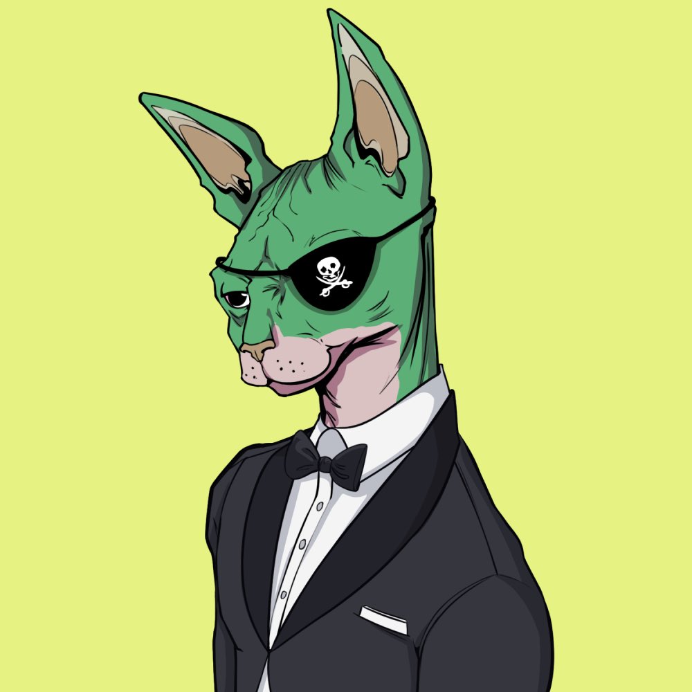 1723spb's tweet photo. @SolJakey Only @TheSphynxUS #NYAW https://t.co/gelu9HXopm