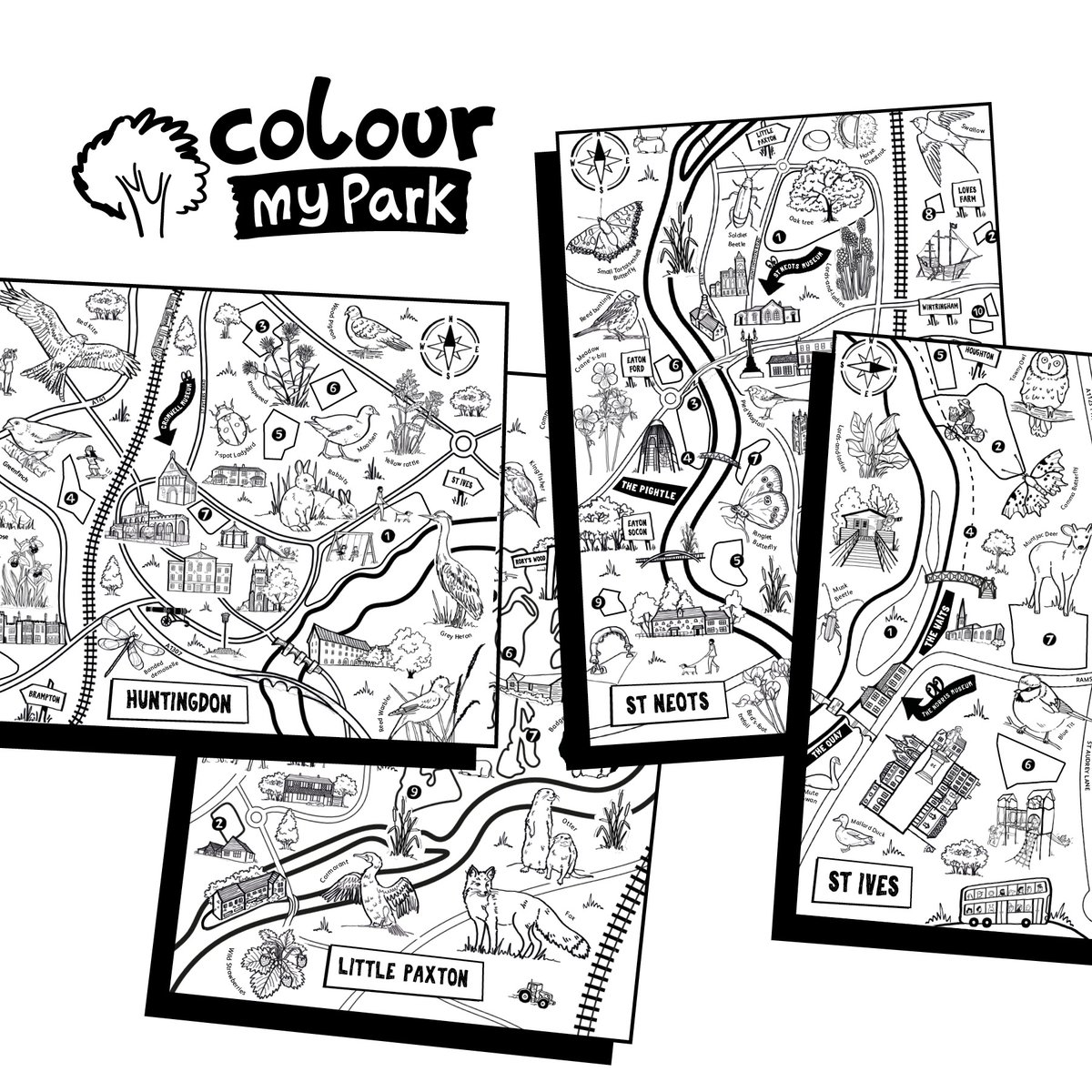 ColourMyPark's tweet photo. Pick up a free copy in your town. Our maps cover Huntingdon, Little Paxton, St Neots and St Ives and have loads of fun things to do, places to visit and parks and open spaces to explore. See where you can pick up a copy at https://t.co/WnnwpyI9yE https://t.co/soMuDWEjsg