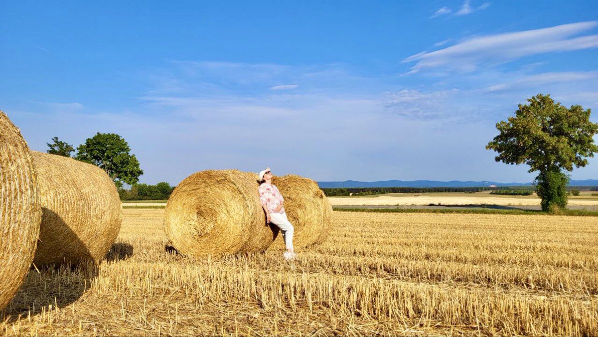 Рідна моя, Україно! 💙💛
З днем незалежності!✨
Ти чарівна країна, яка об’єднала різних людей, поєднала в собі неймовірні красоти!
Вільна та незалежна країна - це змістовні слова! Будь сильною державою і мудрості кожному громадянину, який живе на твоїй землі! ❤️
