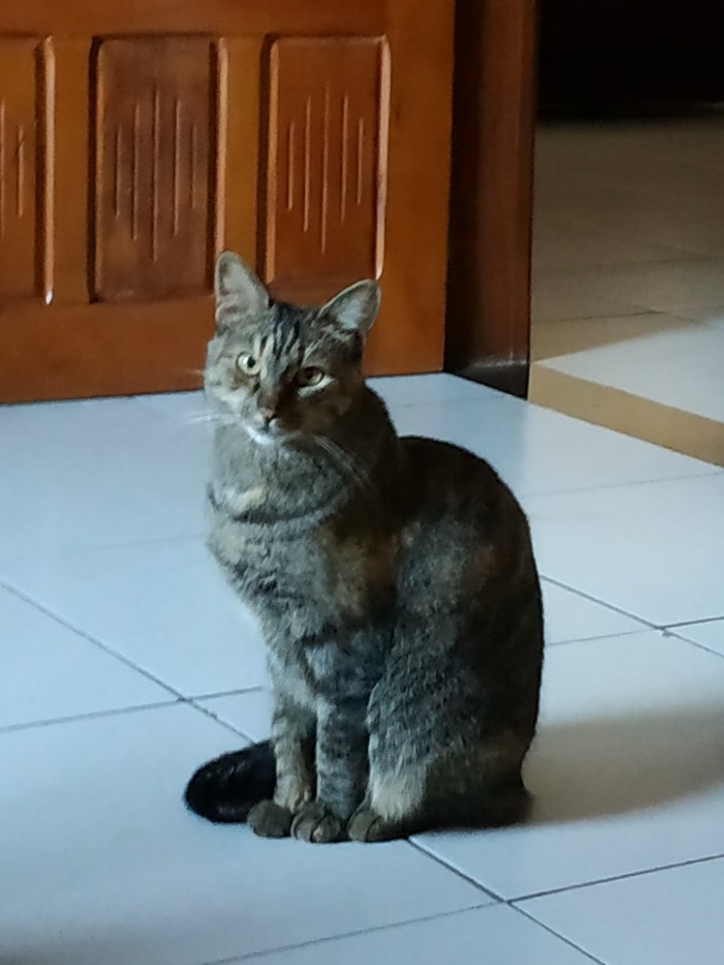 Bom dia!! Que Jeová Deus abençoe a todos nós nessa quarta feira.