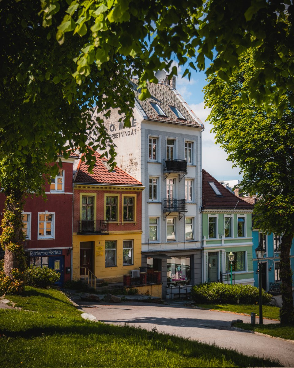 One of my favourite things about summer when it comes to photography is using plants to frame my photos 🌿💚

What about you, what do you like about summer from a photography perspective? 📸