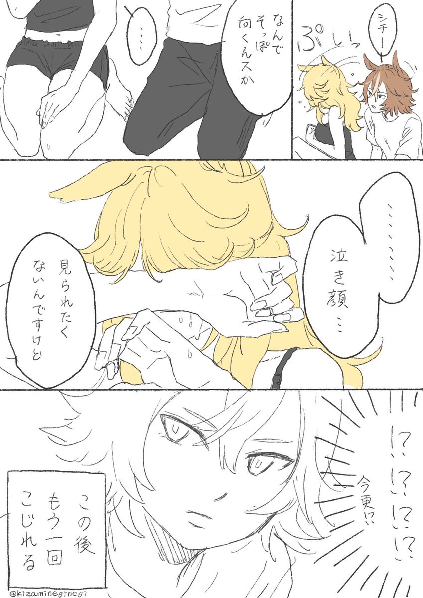 バンシチ再掲 