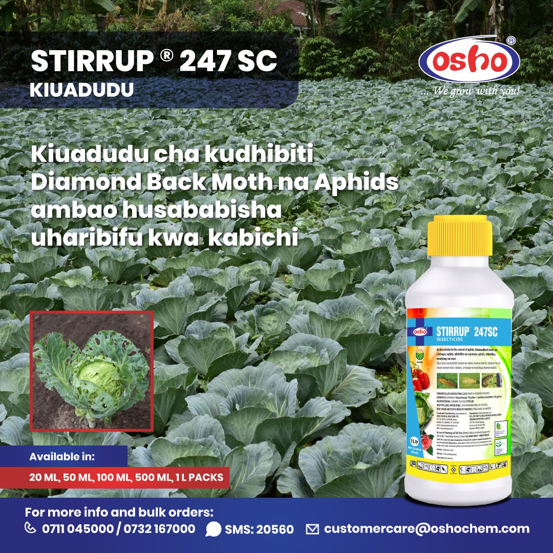 Wadudu kama Diamond Back Moth na Aphids husababisha uharibifu mkubwa kwa mimea. STIRRUP 247 SC ni kiuadudu cha kudhibiti wadudu katika shamba.​
Wasiliana nasi kupata maarifa Zaidi kupitia: 0711 045 000 / 0732 167 000 SMS: 20560 WhatsApp: 0791 720 516