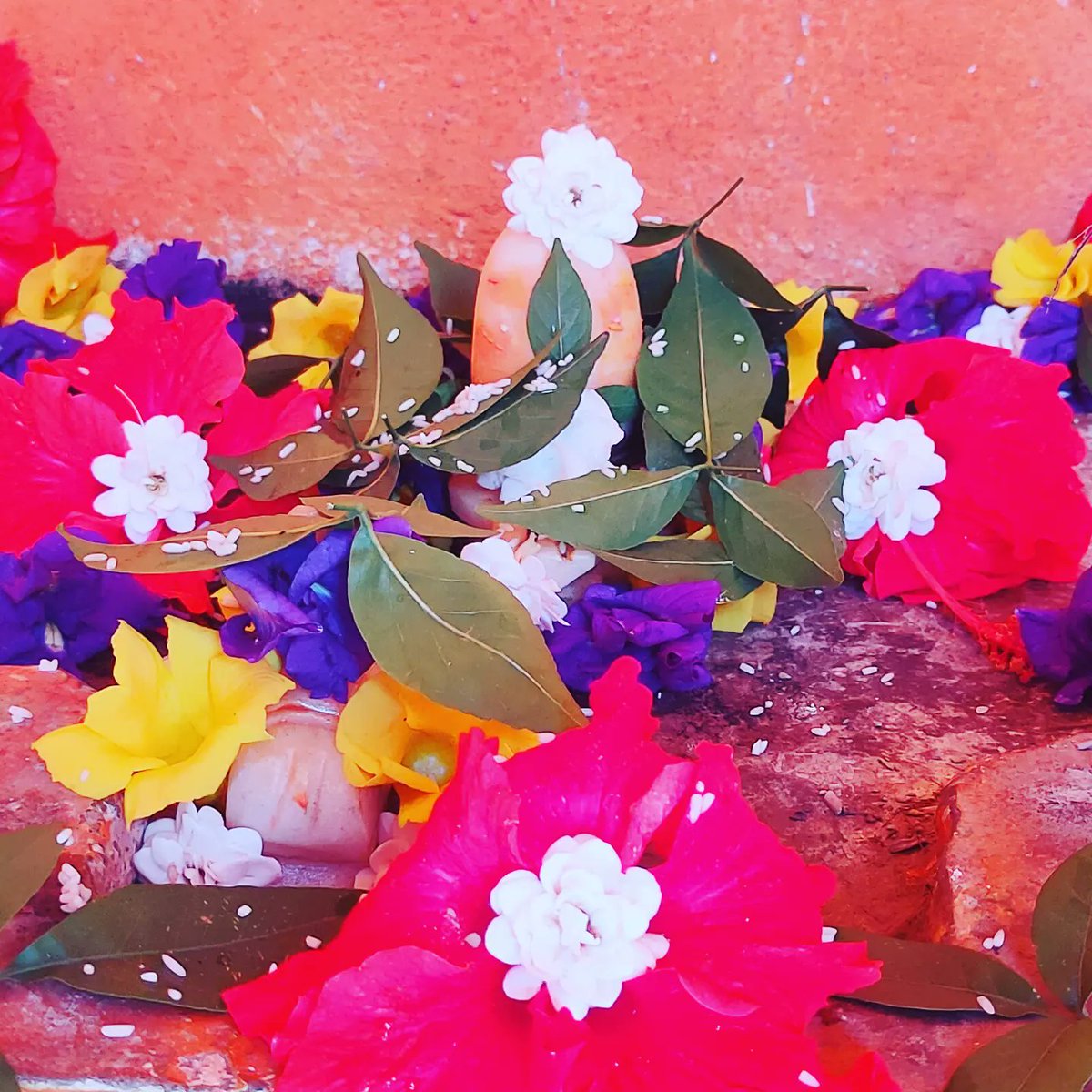 OfficeofAKD's tweet photo. 🙏🌺🌿☘️🌿🌺🙏
न जानामि योगं जपं नैव पूजां
नतोऽहं सदा सर्वदा शम्भुतुभ्यम् ।
जराजन्मदुःखौघ तातप्यमानं
प्रभो पाहि आपन्नमामीश शंभो ॥
#omnamahshivaya #bholenath #Shankar https://t.co/KA3bPUI0nl