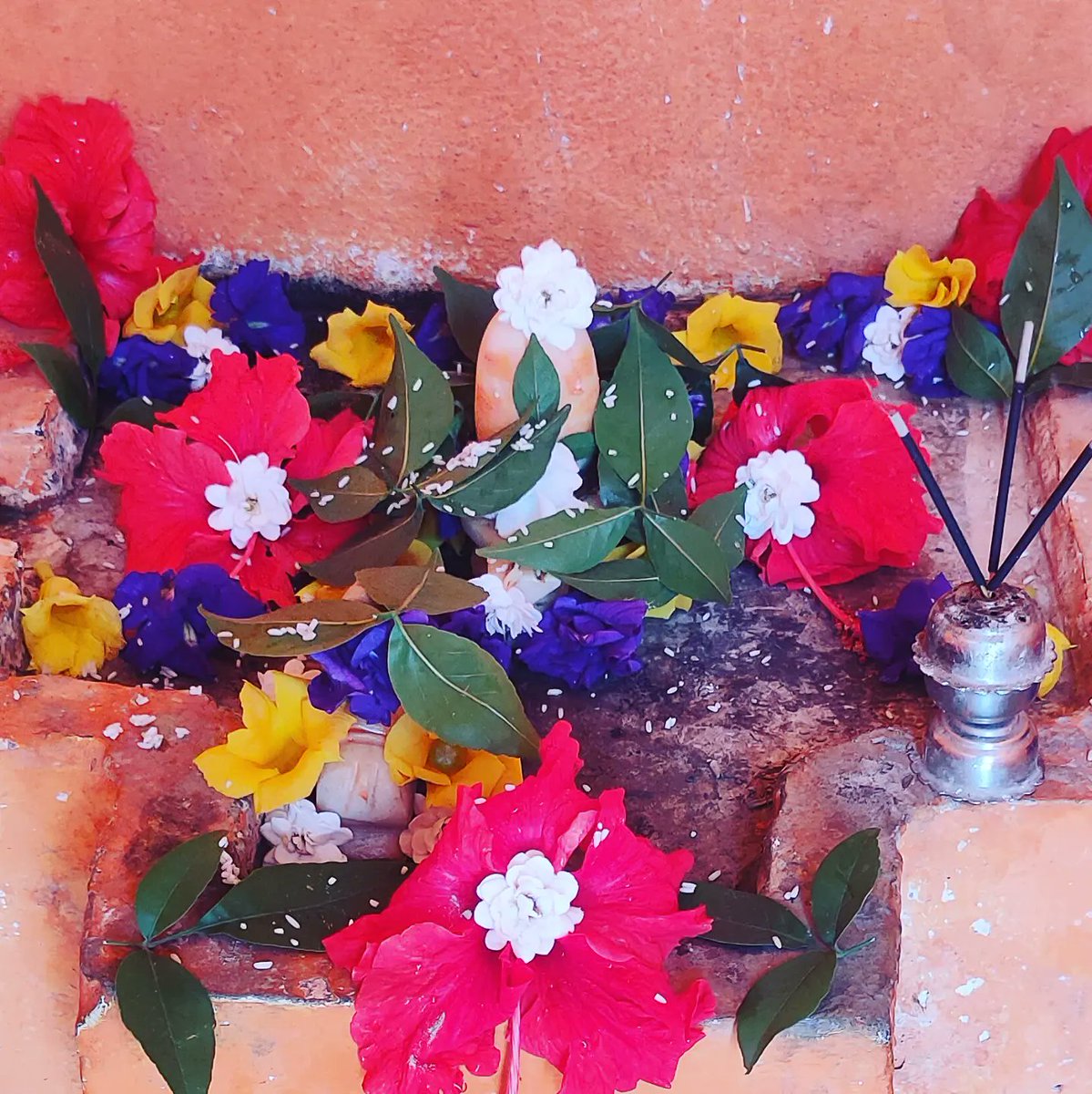 OfficeofAKD's tweet photo. 🙏🌺🌿☘️🌿🌺🙏
न जानामि योगं जपं नैव पूजां
नतोऽहं सदा सर्वदा शम्भुतुभ्यम् ।
जराजन्मदुःखौघ तातप्यमानं
प्रभो पाहि आपन्नमामीश शंभो ॥
#omnamahshivaya #bholenath #Shankar https://t.co/KA3bPUI0nl