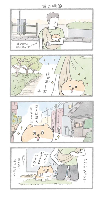 はじめはだっこさんぽから
#こんにちはいぬです 