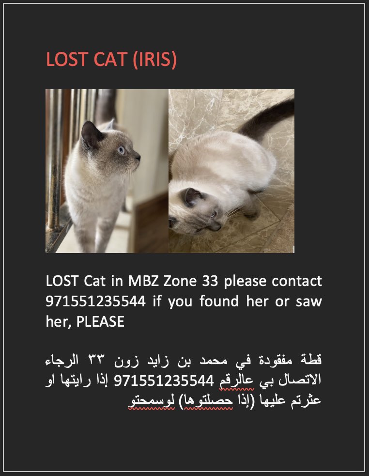 aishhaaq's tweet photo. Please share I didn’t find her yet, she is so precious to me pleasee 😭😭💔 https://t.co/63A6F4Had3